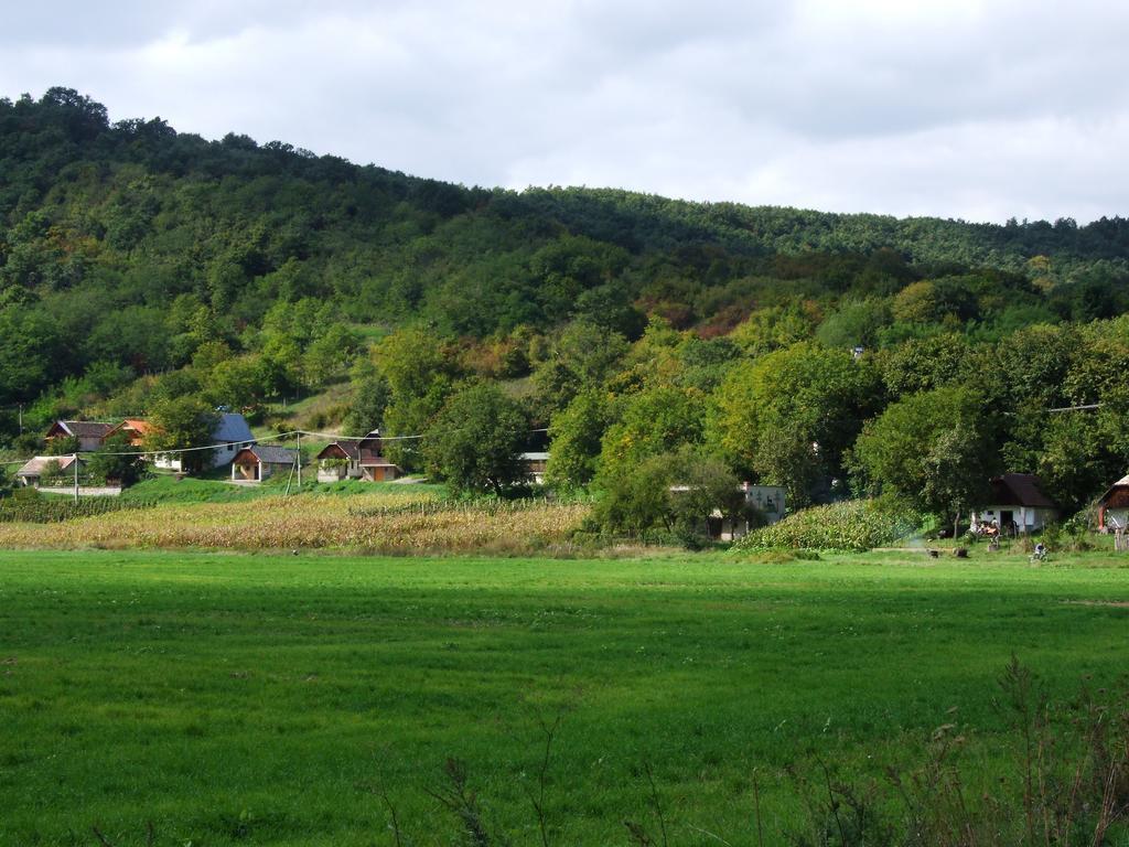 Penzion Julkin Dvor Krupina Buitenkant foto